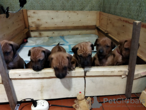 Foto №3. Irena Kuskowska. Polen