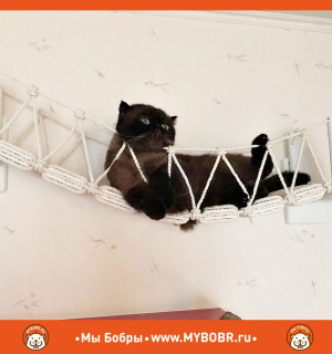 Foto №2. Möbel für Hunde und Katzen in Russische Föderation. Price - 54€. Ankündigung № 5280 