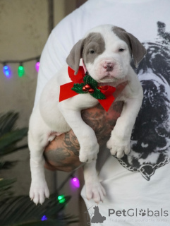 Foto №1.  - zum Verkauf in der Stadt Uppsala | verhandelt | Ankündigung № 160712