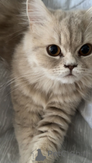 Foto №3. Tiflisi. Georgien