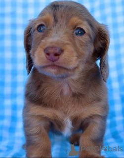 Foto №1.  - zum Verkauf in der Stadt Achenkircch | verhandelt | Ankündigung № 155085