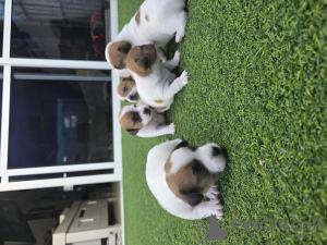 Foto №3. Aschdod. Israel