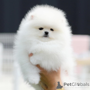 Foto №1.  - zum Verkauf in der Stadt Bamberg | 364€ | Ankündigung № 167053