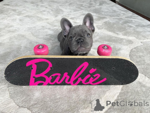 Foto №2 zu Ankündigung № 164606 zu verkaufen  - einkaufen Kanada 