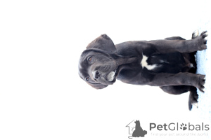 Foto №3. Catanuta Damian. Rumänien