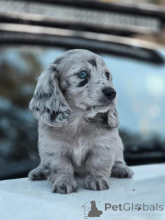 Foto №2 zu Ankündigung № 162701 zu verkaufen  - einkaufen Belgien 