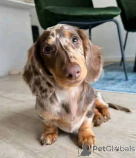 Foto №1.  - zum Verkauf in der Stadt Madrid | verhandelt | Ankündigung № 167012