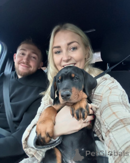 Foto №1.  - zum Verkauf in der Stadt Berlin | 650€ | Ankündigung № 140569