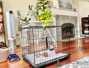 Foto №1.  - zum Verkauf in der Stadt Anderlecht | verhandelt | Ankündigung № 161686