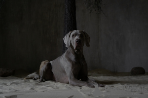 Foto №3. Ekaterina Ryzhikova in Russische Föderation. Ankündigung № 139215