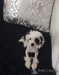 Foto №4. Ich werde verkaufen  in der Stadt Измир. quotient 	ankündigung - preis - verhandelt