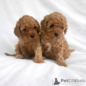 Foto №1.  - zum Verkauf in der Stadt Baierbrunn | verhandelt | Ankündigung № 166373