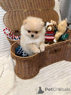 Foto №1.  - zum Verkauf in der Stadt Badgastein | verhandelt | Ankündigung № 161685