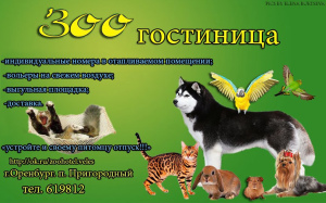 Foto №1. Hotel für Tiere in der Stadt Orenburg. Price - Verhandelt. Ankündigung № 2290