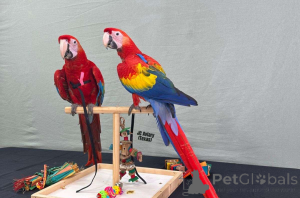 Foto №1.  - zum Verkauf in der Stadt Düsseldorf | Frei | Ankündigung № 162291