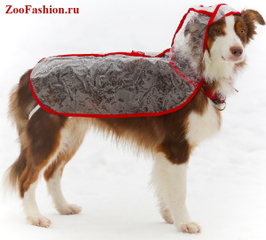 Foto №1. Kleidung für Hunde aller Rassen in der Stadt Moskau. Price - 4€. Ankündigung № 3779