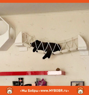 Foto №4. Wandspielanlage für Katzen Der Weg der Kontemplation in Russische Föderation. Ankündigung № 5272