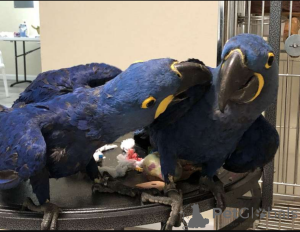 Foto №1.  - zum Verkauf in der Stadt Hamburg | Frei | Ankündigung № 162679