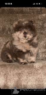 Foto №1.  - zum Verkauf in der Stadt Hydusobos | 339€ | Ankündigung № 161341