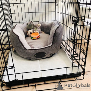 Foto №4. Ich werde verkaufen  in der Stadt Anderlecht.  - preis - verhandelt