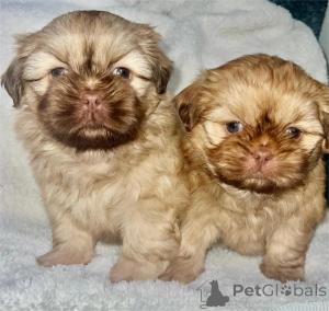 Foto №1.  - zum Verkauf in der Stadt Cölbe | 350€ | Ankündigung № 154945