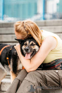 Zusätzliche Fotos: Das kleine Mädchen Millie sucht ein Zuhause!