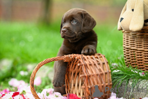 Foto №3. Ivana Vlašić. Kroatien