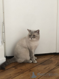 Foto №1.  - zum Verkauf in der Stadt Aalen | 350€ | Ankündigung № 147298