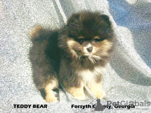 Foto №1.  - zum Verkauf in der Stadt Ingolstadt | 1975€ | Ankündigung № 133022