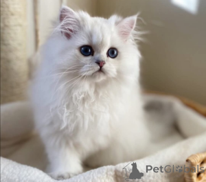 Foto №1.  - zum Verkauf in der Stadt Zürich | Frei | Ankündigung № 162283