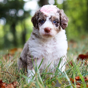 Foto №1.  - zum Verkauf in der Stadt Aalen | 300€ | Ankündigung № 151358
