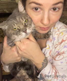 Foto №4. Ich werde verkaufen  in der Stadt Moskwa. quotient 	ankündigung - preis - Frei