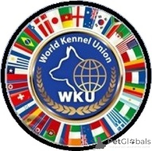 Foto №4. Hundeführer in Ukraine. Ankündigung № 150034