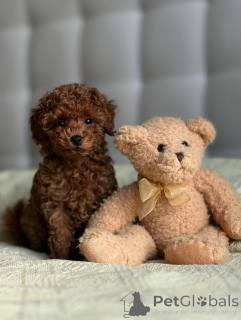 Foto №3. Verkauft. Vielen Dank für Ihr Interesse. Bitte kontaktieren Sie WhatsApp. Finnland