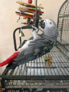 Foto №1.  - zum Verkauf in der Stadt Ohio | 872€ | Ankündigung № 161305