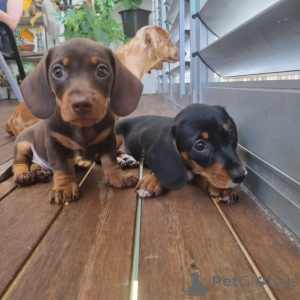 Foto №1.  - zum Verkauf in der Stadt Barrie | Frei | Ankündigung № 163559