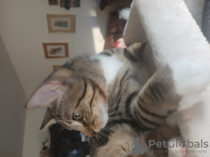 Foto №3. Astrid Kempf. Deutschland