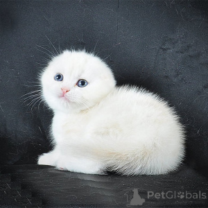 Foto №1.  - zum Verkauf in der Stadt Hannover | 250€ | Ankündigung № 156668