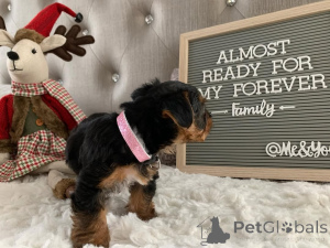 Foto №3. Der Aufenthalt in unserem Haus wurde vor dem 10. Lebensjahr mit einem. Montenegro