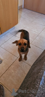 Foto №4. Ich werde verkaufen  in der Stadt Limassol. quotient 	ankündigung - preis - 300€