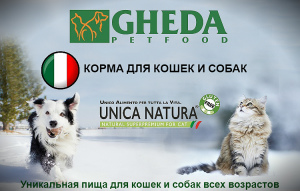 Foto №1. "GHEDA Proper Form Professional Breeders" Hundefutter in der Stadt St. Petersburg. Price - Verhandelt. Ankündigung № 4238