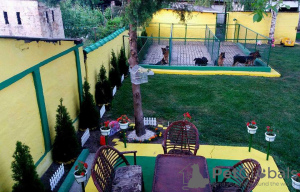 Foto №4. Ich werde verkaufen deutscher schäferhund in der Stadt Ruma. züchter - preis - verhandelt