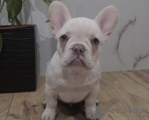 Foto №3. Magdalena. Deutschland