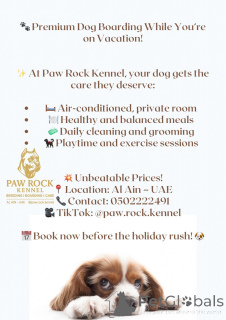 Foto №4. Hotel für Tiere in Vereinigte Arabische Emirate. Ankündigung № 145660