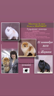 Foto №2. Service des Groomers in Ukraine. Price - 75€. Ankündigung № 3308