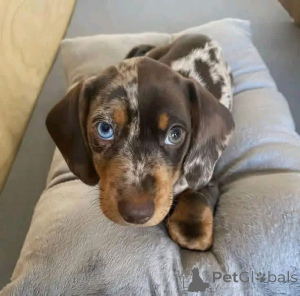 Foto №2 zu Ankündigung № 167012 zu verkaufen  - einkaufen Spanien 