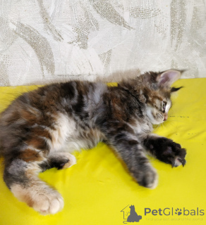 Foto №3. Es werden verkaufte Main-Kun-Steine verkauft. Russische Föderation