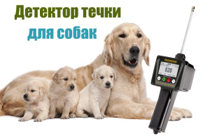 Foto №1. Das ideale Werkzeug für Züchter - DRAMINSKI Mündungsdetektor für Hunde in der Stadt Moskau. Price - 497€. Ankündigung № 2230