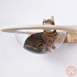 Foto №2. Möbel für Hunde und Katzen in Russische Föderation. Price - 108€. Ankündigung № 5274 