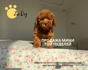 Foto №3. Katerina Burlachenko. Deutschland